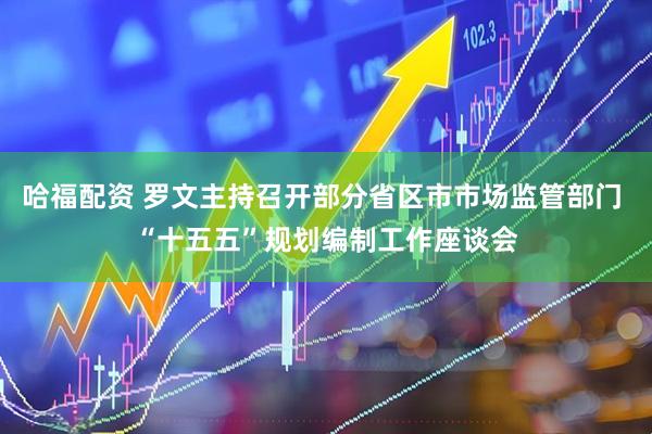 哈福配资 罗文主持召开部分省区市市场监管部门 “十五五”规划编制工作座谈会