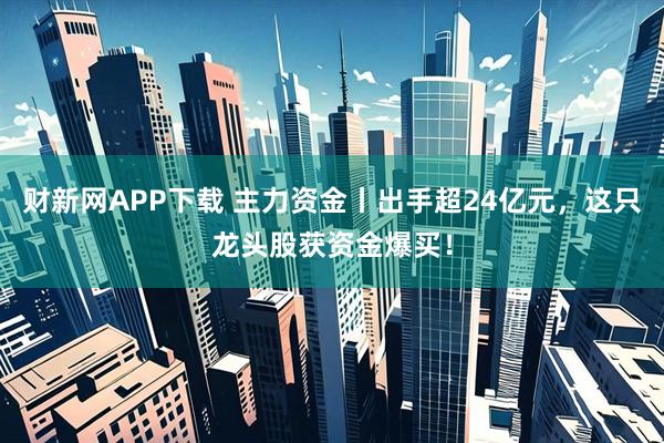财新网APP下载 主力资金丨出手超24亿元，这只龙头股获资金爆买！
